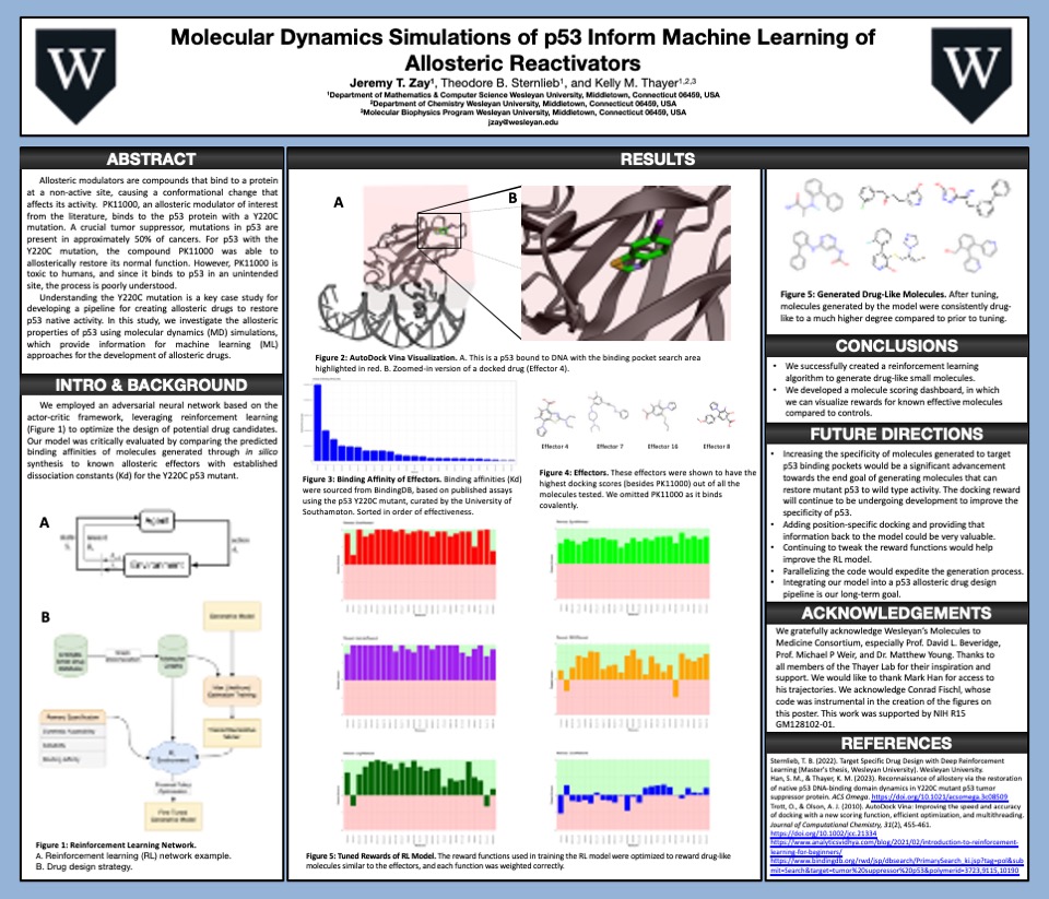 Molecular Dynamics Simulations of p53 Poster